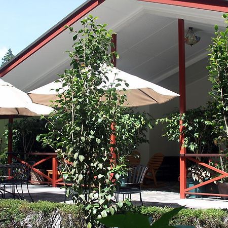 Cielito Sur Bed & Breakfast Inn Серо Пунта Екстериор снимка