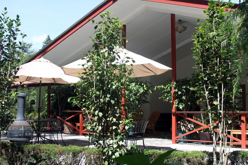 Cielito Sur Bed & Breakfast Inn Серо Пунта Екстериор снимка