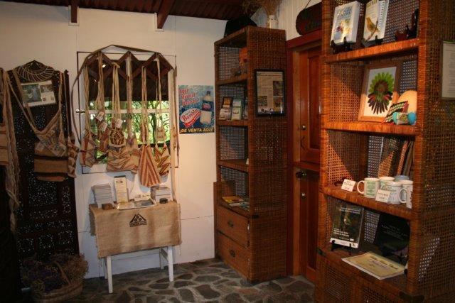 Cielito Sur Bed & Breakfast Inn Серо Пунта Екстериор снимка